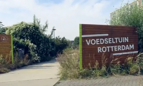 VIDEO: Ambassadeur Patrick van Luijk ontdekt satelliet Groen en Gezond