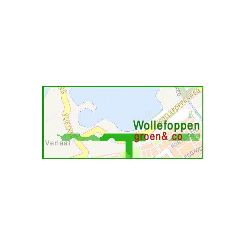 Logo van Wollefoppengroen & Co