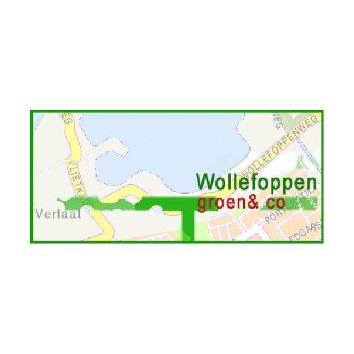 Logo van Wollefoppengroen & Co
