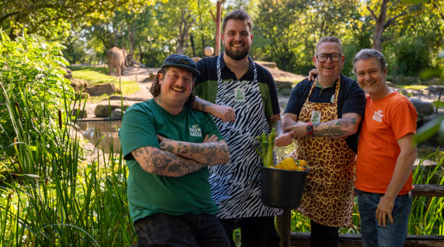 Perry de Man, Jos Hartog, Edwin Allen en Pepijn Schmeink.