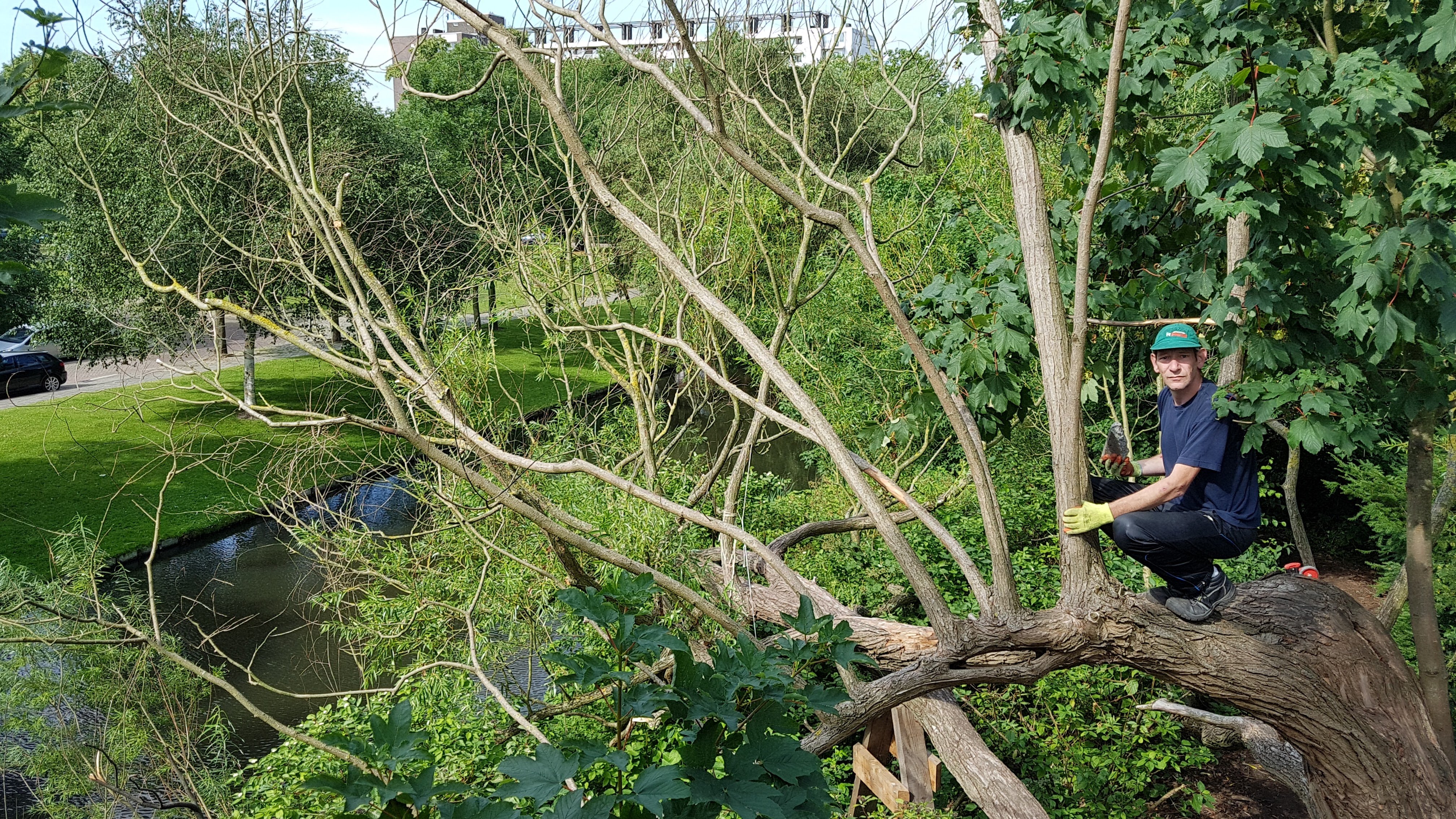 Groen geeft lucht aan Rotterdammers