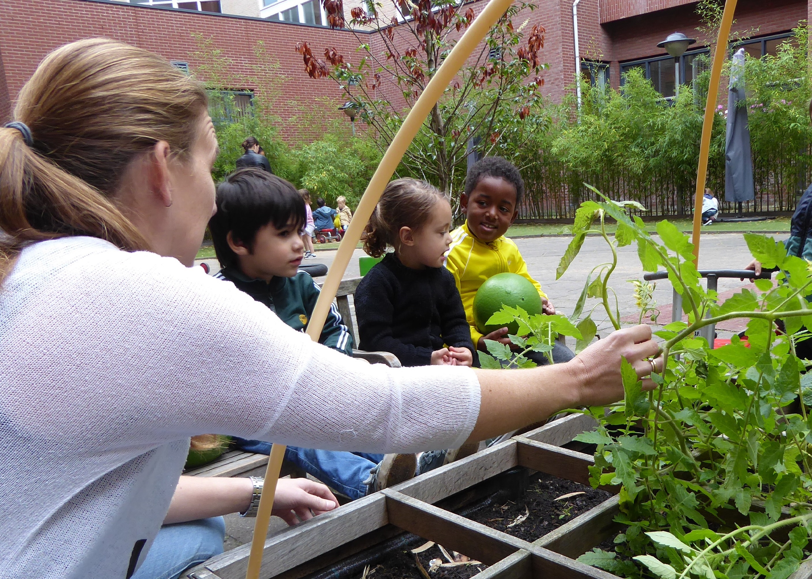 Kinderen zetten eigen groenten op menu