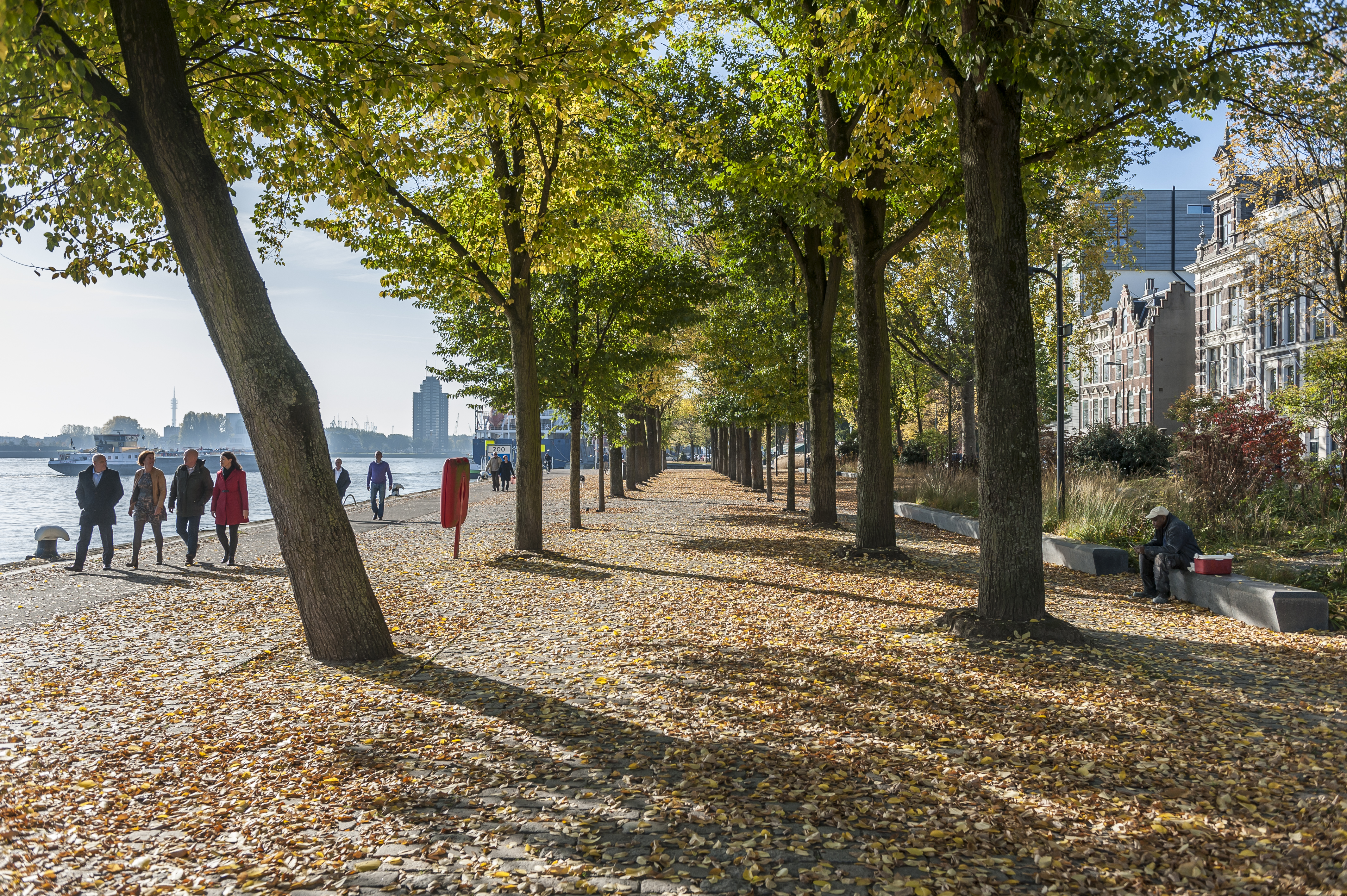 Rotterdam wandelt op recept