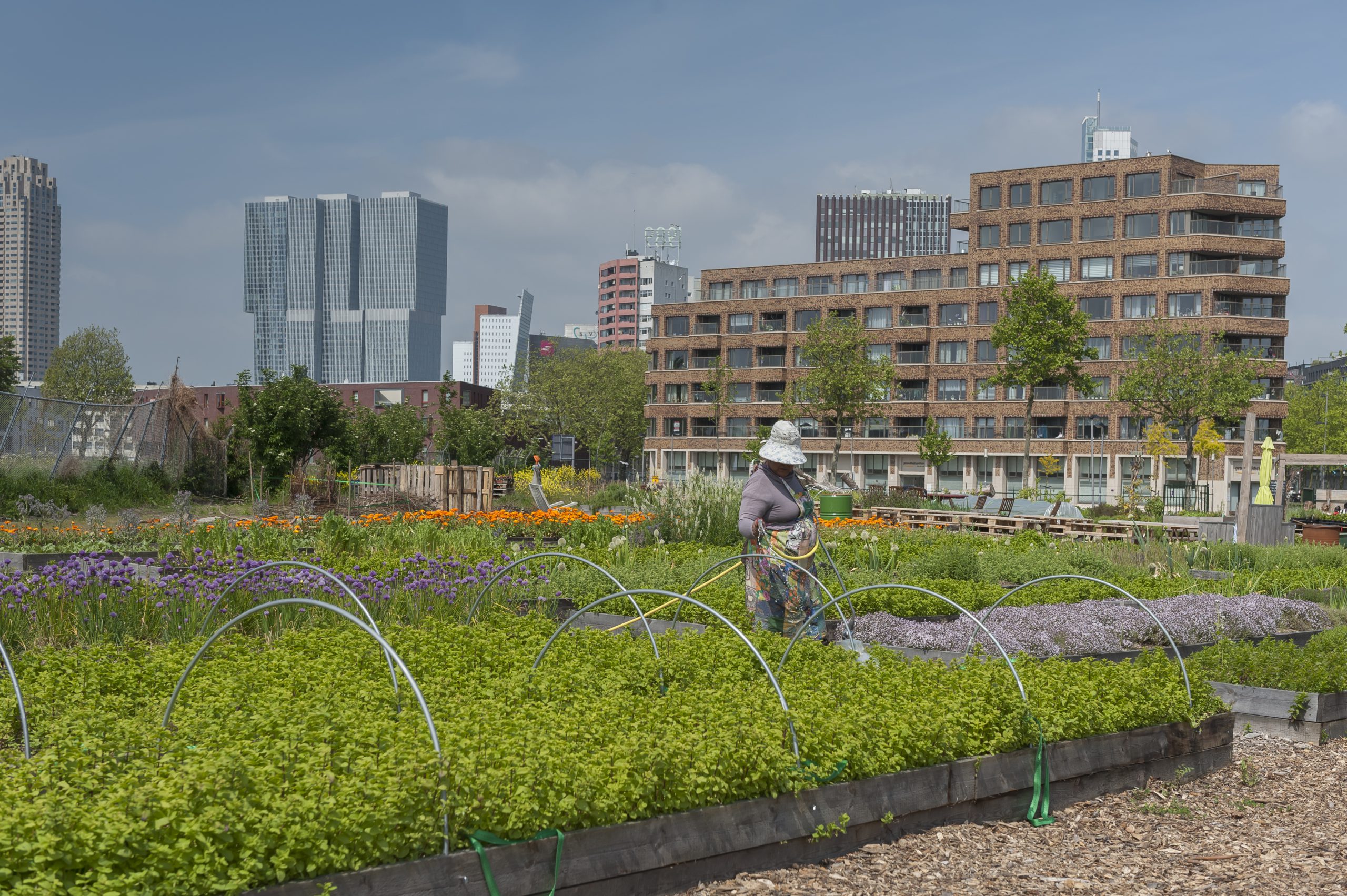 Groene initiatieven verenigen zich om voet aan de grond te krijgen