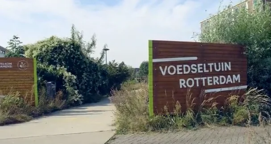 VIDEO: Ambassadeur Patrick van Luijk ontdekt satelliet Groen en Gezond