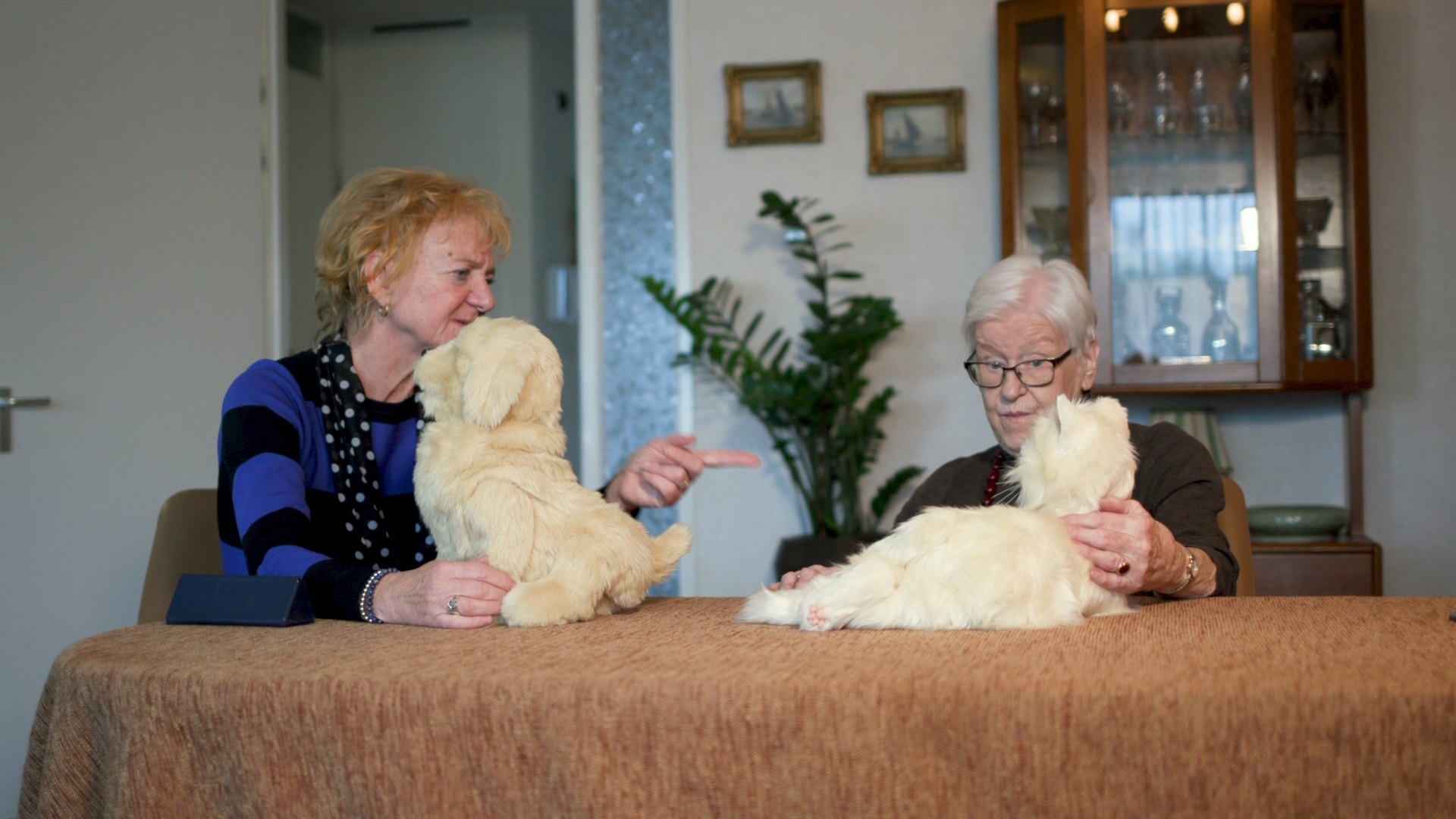 Subsidie ‘Doorbraak eHealth’ naar minirobot en modelwoning